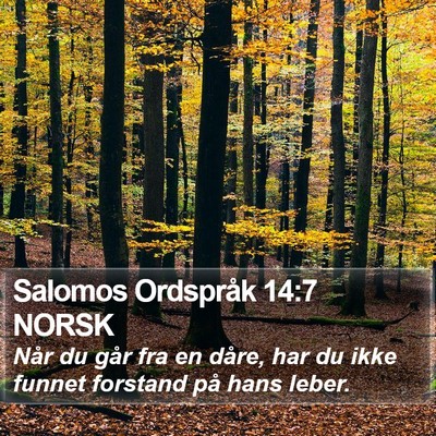 Salomos Ordspråk 14:7 NORSK Bible Verse Image