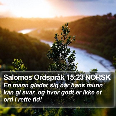 Salomos Ordspråk 15:23 NORSK Bible Verse Image