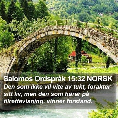 Salomos Ordspråk 15:32 NORSK Bible Verse Image