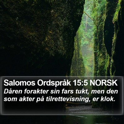 Salomos Ordspråk 15:5 NORSK Bible Verse Image