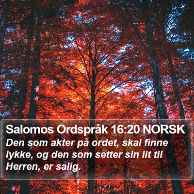 Salomos Ordspråk 16:20 NORSK Bible Verse Image