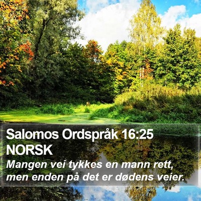 Salomos Ordspråk 16:25 NORSK Bible Verse Image