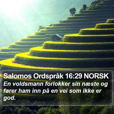 Salomos Ordspråk 16:29 NORSK Bible Verse Image