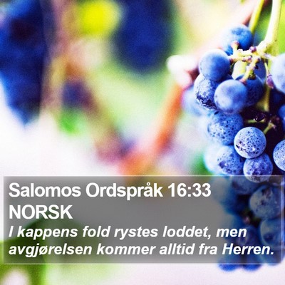 Salomos Ordspråk 16:33 NORSK Bible Verse Image