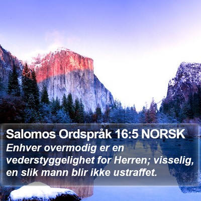 Salomos Ordspråk 16:5 NORSK Bible Verse Image