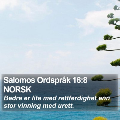 Salomos Ordspråk 16:8 NORSK Bible Verse Image