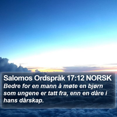 Salomos Ordspråk 17:12 NORSK Bible Verse Image