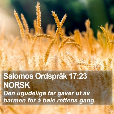 Salomos Ordspråk 17:23 NORSK Bible Verse Image