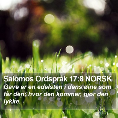 Salomos Ordspråk 17:8 NORSK Bible Verse Image