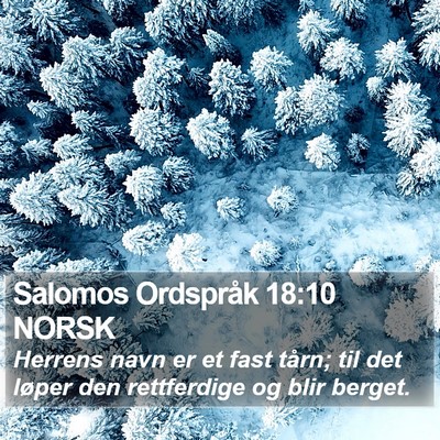 Salomos Ordspråk 18:10 NORSK Bible Verse Image