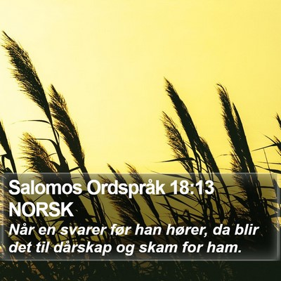 Salomos Ordspråk 18:13 NORSK Bible Verse Image