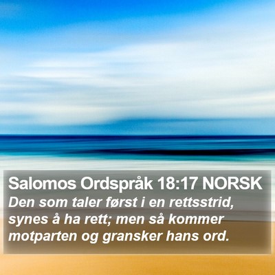 Salomos Ordspråk 18:17 NORSK Bible Verse Image