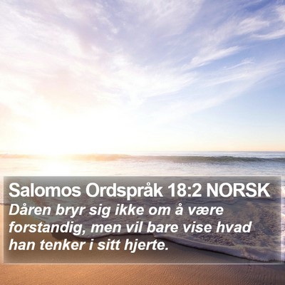 Salomos Ordspråk 18:2 NORSK Bible Verse Image