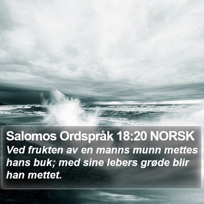 Salomos Ordspråk 18:20 NORSK Bible Verse Image