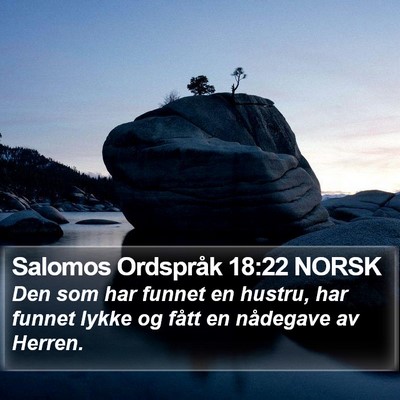 Salomos Ordspråk 18:22 NORSK Bible Verse Image