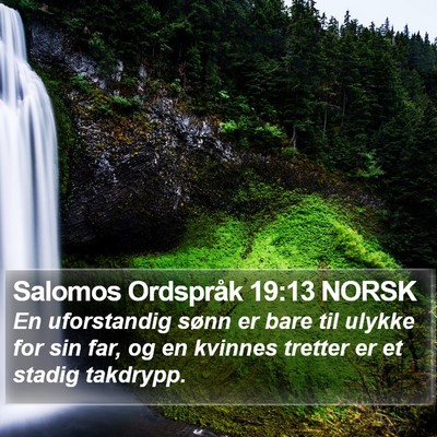 Salomos Ordspråk 19:13 NORSK Bible Verse Image