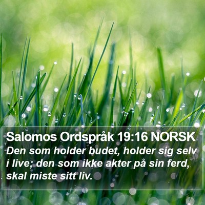 Salomos Ordspråk 19:16 NORSK Bible Verse Image