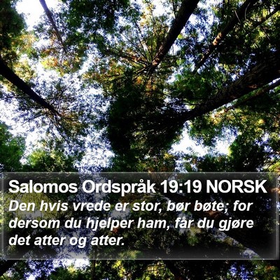 Salomos Ordspråk 19:19 NORSK Bible Verse Image