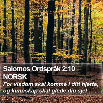 Salomos Ordspråk 2:10 NORSK Bible Verse Image