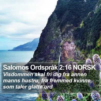 Salomos Ordspråk 2:16 NORSK Bible Verse Image