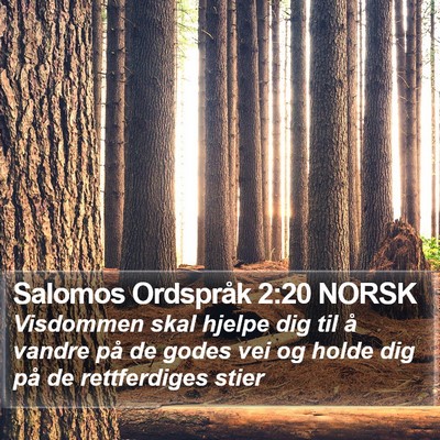 Salomos Ordspråk 2:20 NORSK Bible Verse Image