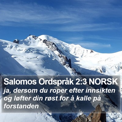 Salomos Ordspråk 2:3 NORSK Bible Verse Image