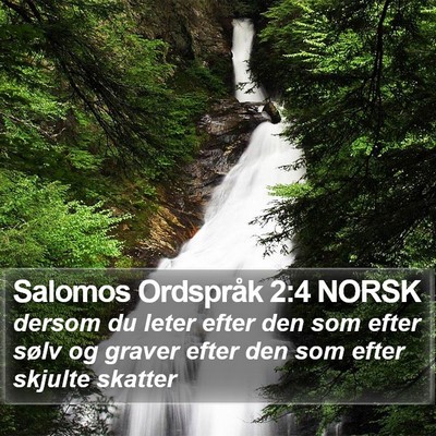 Salomos Ordspråk 2:4 NORSK Bible Verse Image