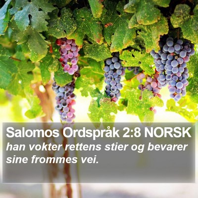 Salomos Ordspråk 2:8 NORSK Bible Verse Image