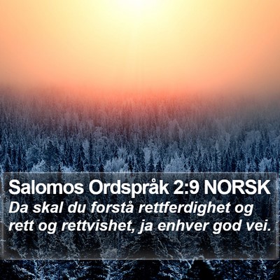 Salomos Ordspråk 2:9 NORSK Bible Verse Image