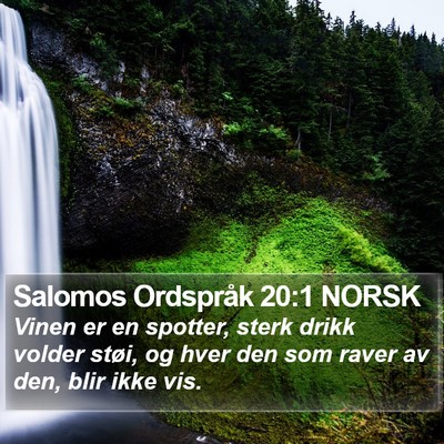 Salomos Ordspråk 20:1 NORSK Bible Verse Image
