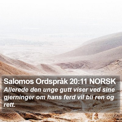 Salomos Ordspråk 20:11 NORSK Bible Verse Image