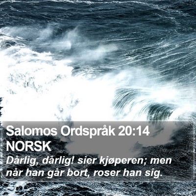 Salomos Ordspråk 20:14 NORSK Bible Verse Image