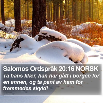 Salomos Ordspråk 20:16 NORSK Bible Verse Image