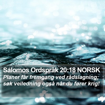 Salomos Ordspråk 20:18 NORSK Bible Verse Image