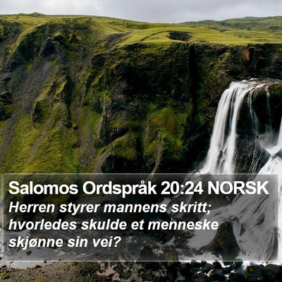 Salomos Ordspråk 20:24 NORSK Bible Verse Image