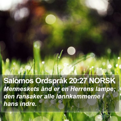 Salomos Ordspråk 20:27 NORSK Bible Verse Image