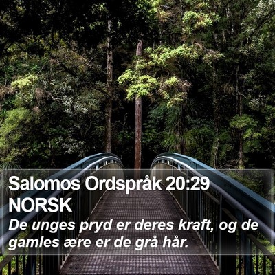 Salomos Ordspråk 20:29 NORSK Bible Verse Image