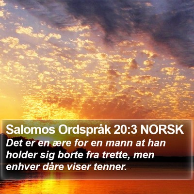 Salomos Ordspråk 20:3 NORSK Bible Verse Image