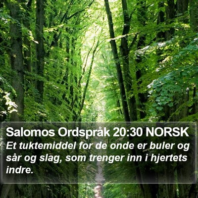 Salomos Ordspråk 20:30 NORSK Bible Verse Image