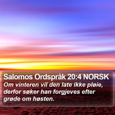Salomos Ordspråk 20:4 NORSK Bible Verse Image