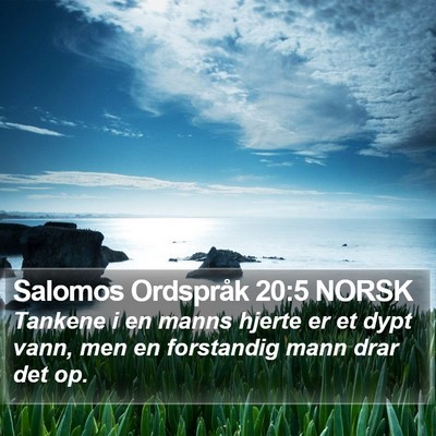 Salomos Ordspråk 20:5 NORSK Bible Verse Image