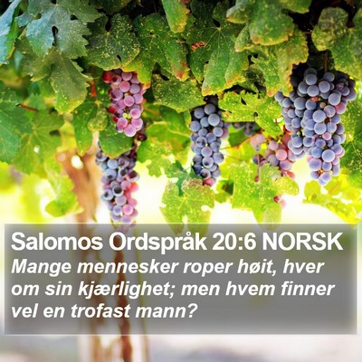 Salomos Ordspråk 20:6 NORSK Bible Verse Image