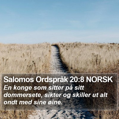 Salomos Ordspråk 20:8 NORSK Bible Verse Image