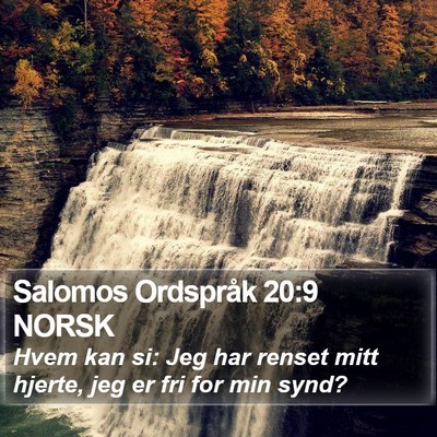 Salomos Ordspråk 20:9 NORSK Bible Verse Image