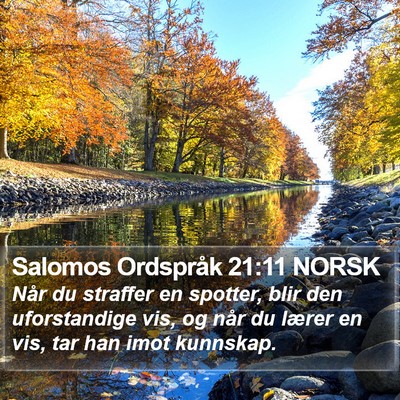 Salomos Ordspråk 21:11 NORSK Bible Verse Image