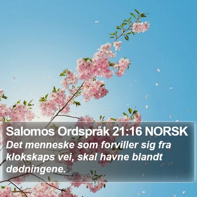 Salomos Ordspråk 21:16 NORSK Bible Verse Image