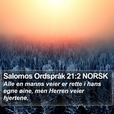 Salomos Ordspråk 21:2 NORSK Bible Verse Image