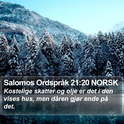 Salomos Ordspråk 21:20 NORSK Bible Verse Image