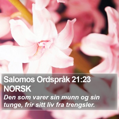 Salomos Ordspråk 21:23 NORSK Bible Verse Image