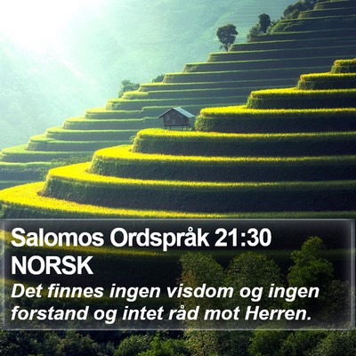 Salomos Ordspråk 21:30 NORSK Bible Verse Image